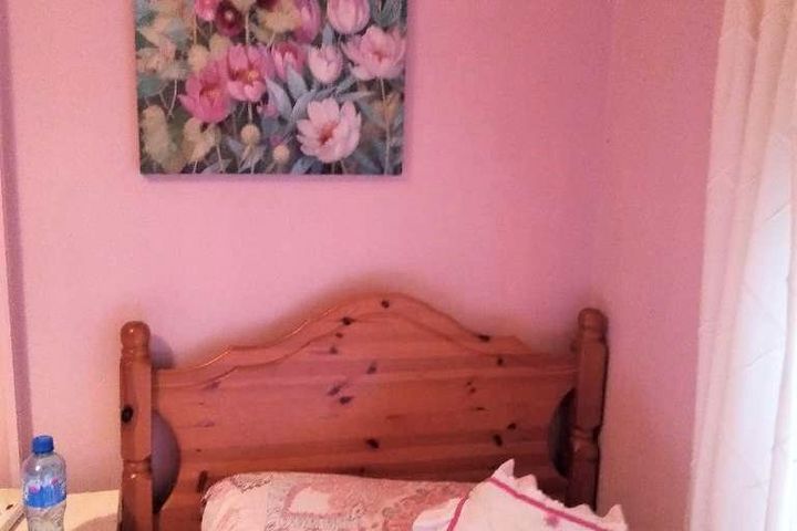 Castle Court, Carrick-on-Suir, Co. Waterford