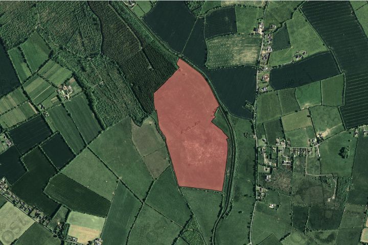 Barnacrow Forest, Milltown, Co. Kildare