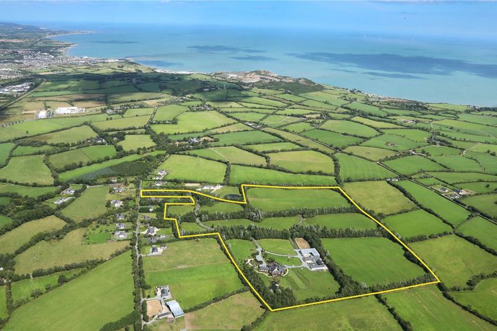 Wish Willow, Whitepard, Arklow, Wicklow