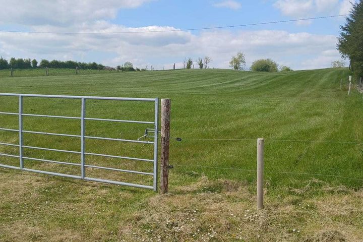 Curraghsallagh, Lisacul, Co. Roscommon, F45P896