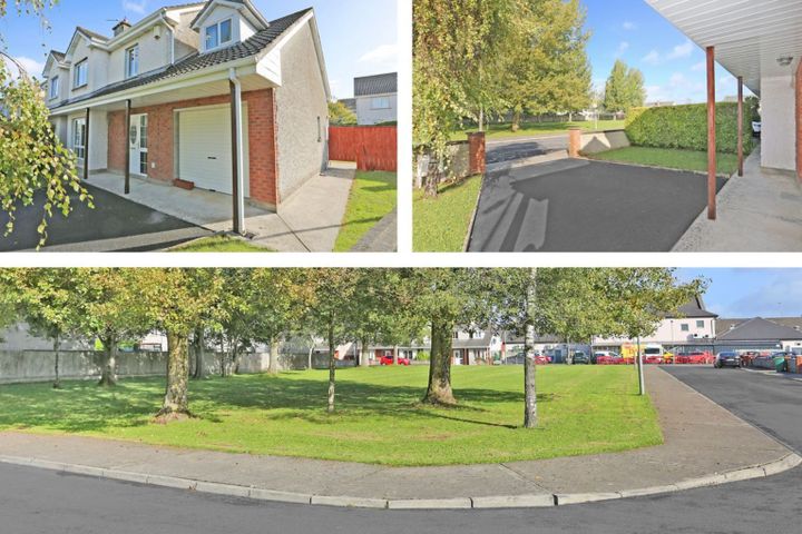 Raheen, Limerick, Mungret, Co. Limerick