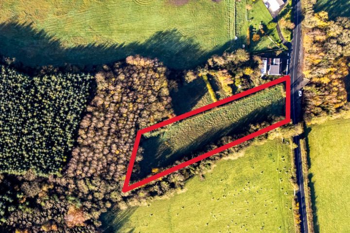 Clonmore, Cappincur, Tullamore, Co. Offaly, Geashill, Co. Offaly