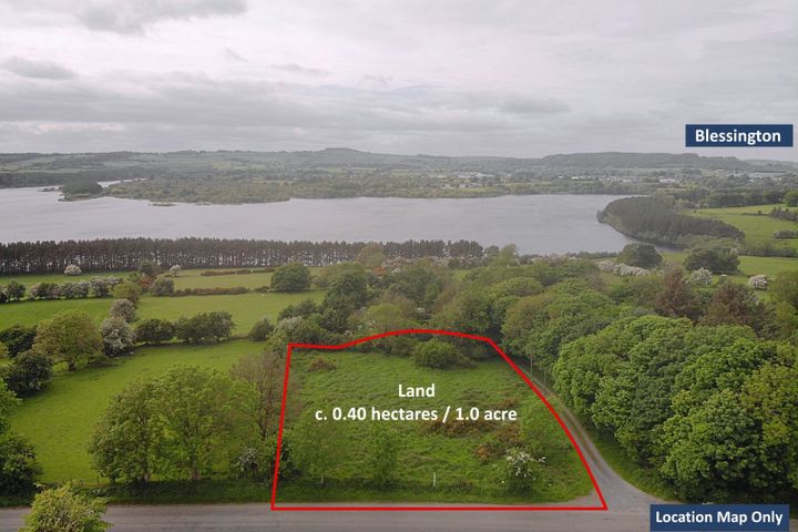 Land Carrig c.0.4 hectares / 1.0 acres, Blessington, Co. Wicklow