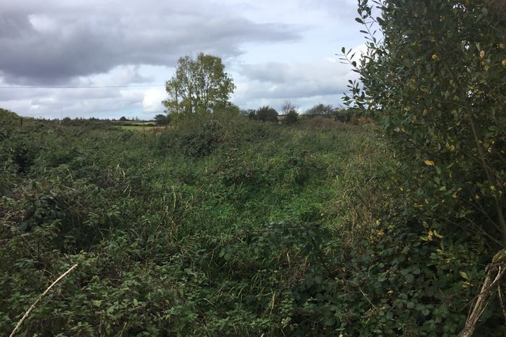Ballybane, Ballinlough, Co. Roscommon