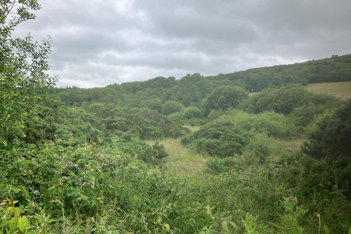 6.94 Acres At Ballysallagh, Hacketstown, Co. Carlow, R93E5Y9