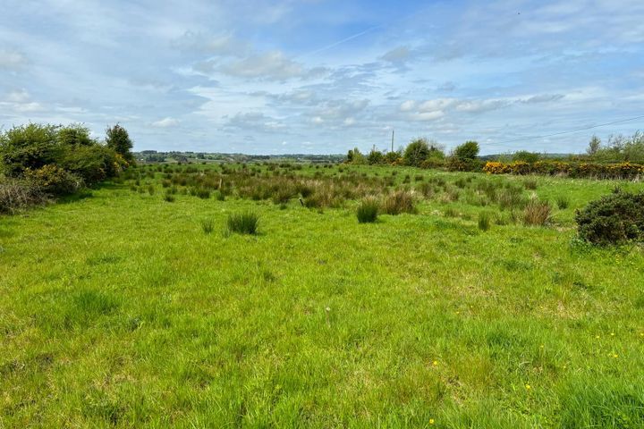C. 48 acres in Mountain Forthill, Ballyhaunis, Co. Mayo