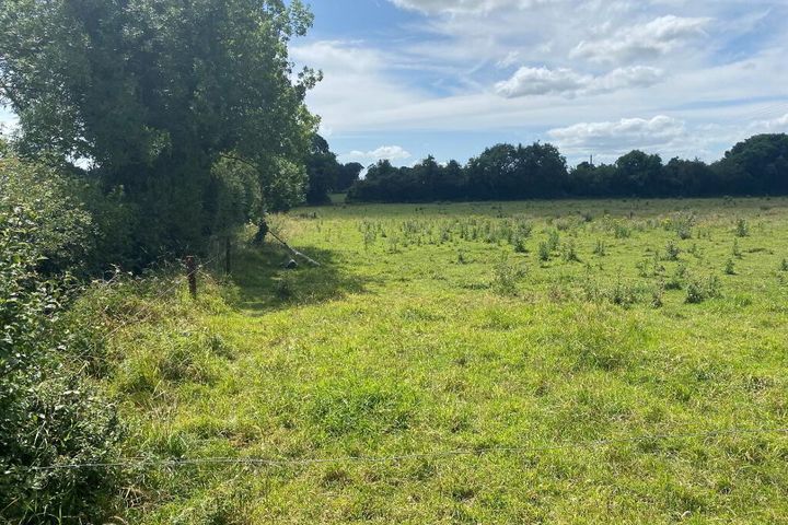 Charleville, Ardee, Co. Louth