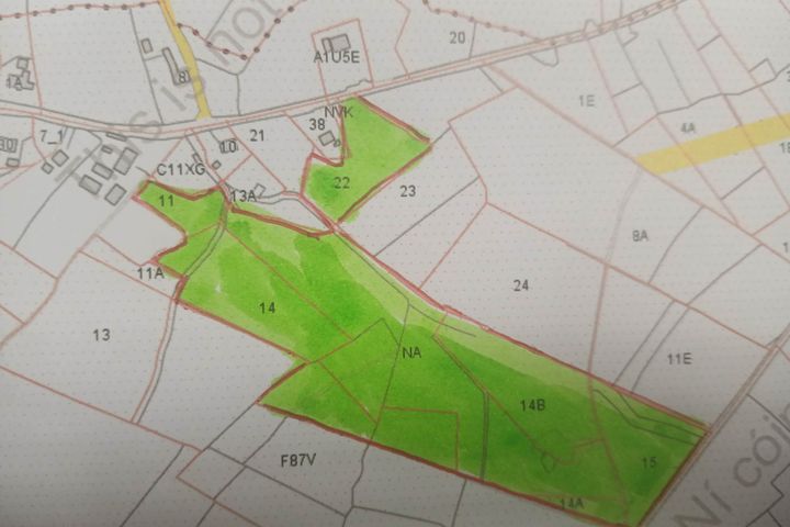 Gorteenboy, Gort, Co. Galway