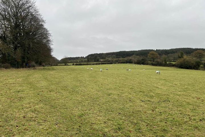 C. 4.28 Ha At Ballyduff, Roscrea, Co. Tipperary