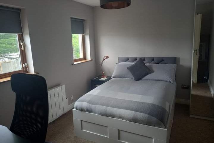 Dromsally Woods,Cappamore,Limerick, Cappamore, Co. Limerick