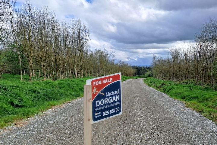 High Nature Value Site, c.93 acres,  Gortacurrig, Kildorrery near, Fermoy, Co. Cork