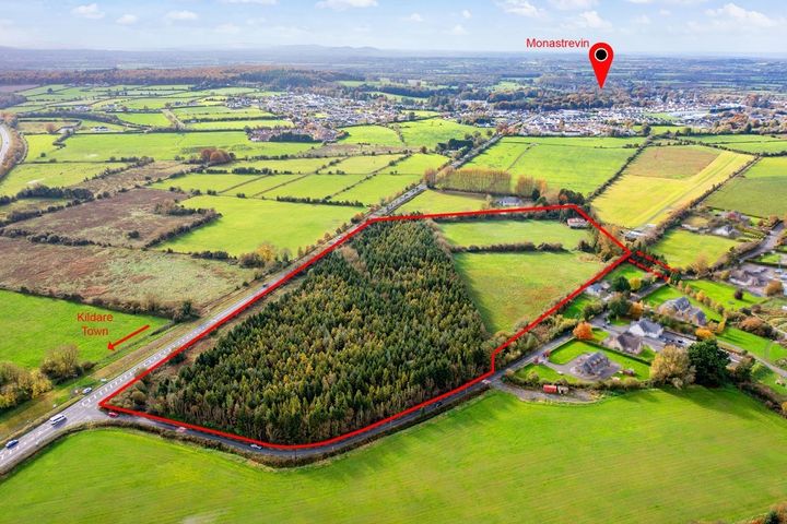 c.20 Acres of Land at Barraderra, Monasterevin, Co. Kildare