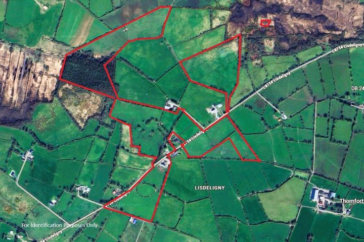 Lisdeligny, Killimor, Ballinasloe, Co. Galway