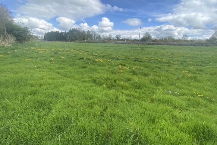 5.3 Acres Approx, Finnea, Co. Cavan