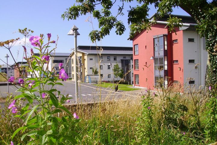 Apartment 29, The Grove, Clarion Campus, Ballinode, Co. Sligo, F91YV74