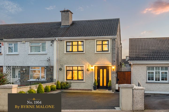 1954 St Dominics Park, Newbridge, Kildare, Kildare