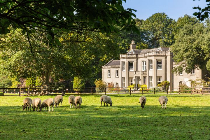 Springfield House, Clane Road, Celbridge, Kildare