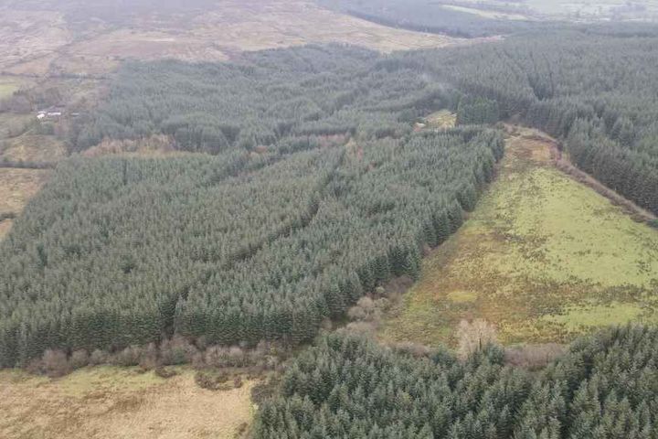 Poulduff, Birr, Co Offaly, Offaly