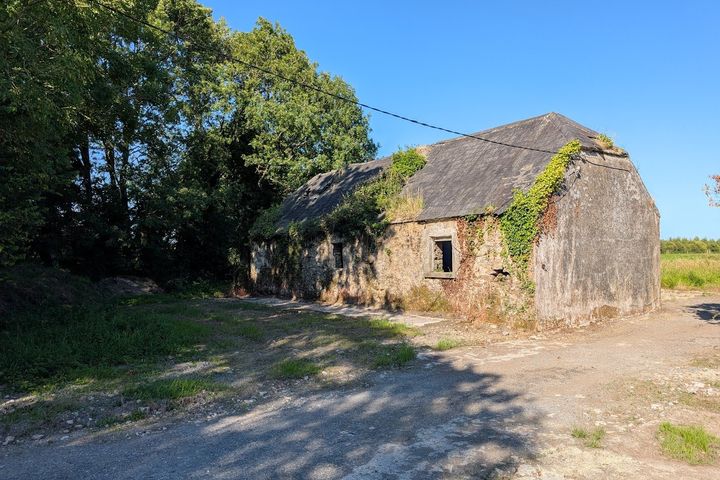 Dromin, Carrigatoher, Nenagh, Co Tipperary
