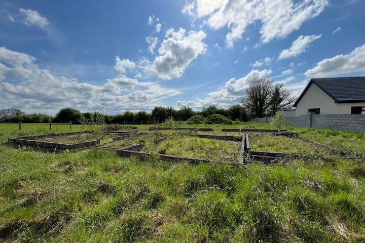 Killeenagallive, Emly, Co. Tipperary