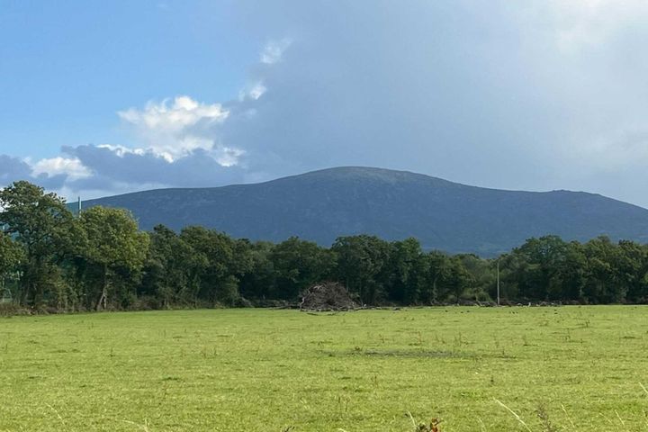 Ballynagrane (C.1.7 Acre Site), Borris, Co. Carlow