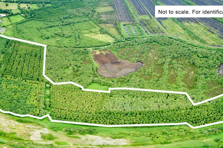 Derries , Edenderry, Co. Offaly