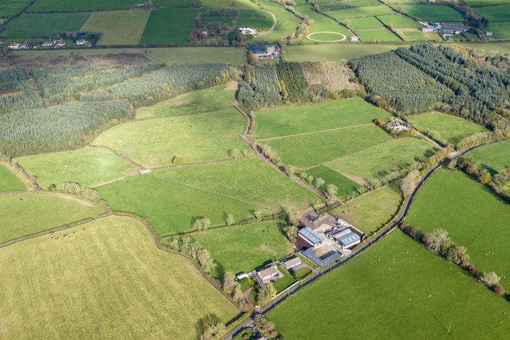 Spurree, Castlelyons, Co. Cork, P61F386