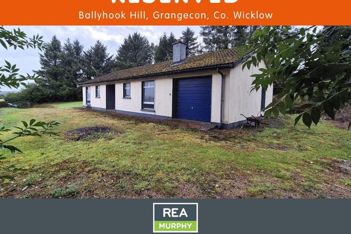Ballyhook Hill, Grangecon, Co. Wicklow, W91T0F1