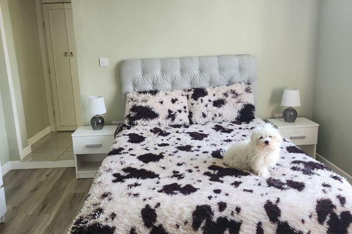 Lough Na Neine House, Castle Lane, Roscommon, Roscommon Town, Co. Roscommon