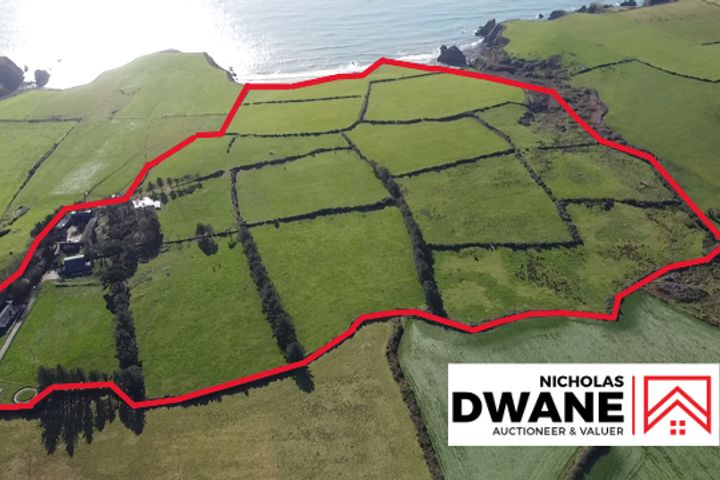 Killelton, Stradbally, Co. Waterford, X42A074