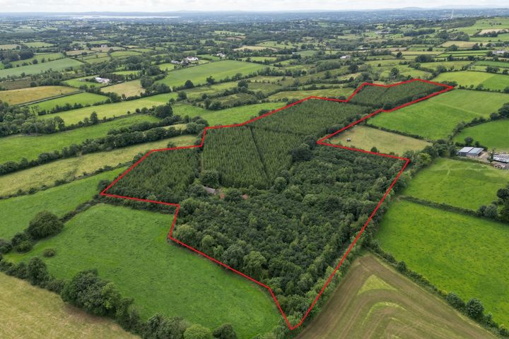 Cormaddyduff, Ballyjamesduff, Co. Cavan, A82V962