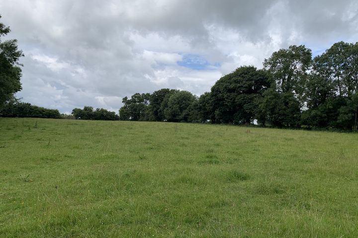 Moneymore, Grange Con, Co. Wicklow, W91W5Y0