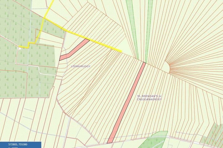 4.9 Acres of Bog at Lissavruggy, Newbridge, Ballygar, Co. Galway