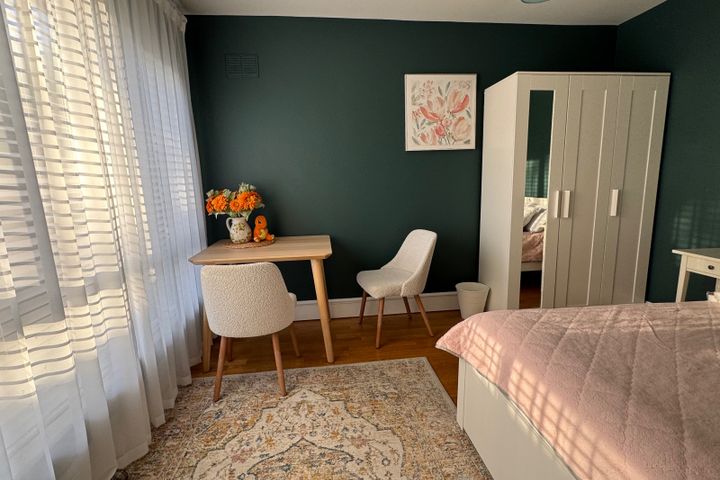 Ballintyre Woods, Dublin 16, Ballinteer, Dublin 16