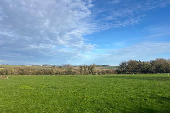 Mount Howard (C. 2 Acre Site), Monamolin, Gorey, Co. Wexford