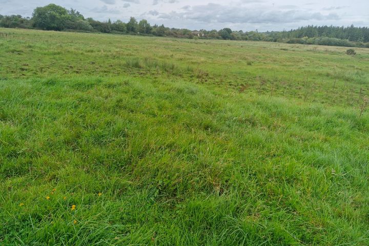 Moher, Ballinasloe, Co. Galway