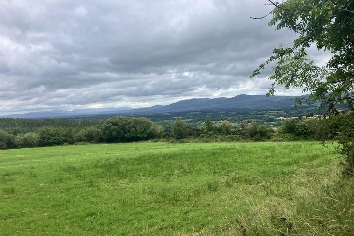 Skeehnarinky, Burncourt, Co. Tipperary