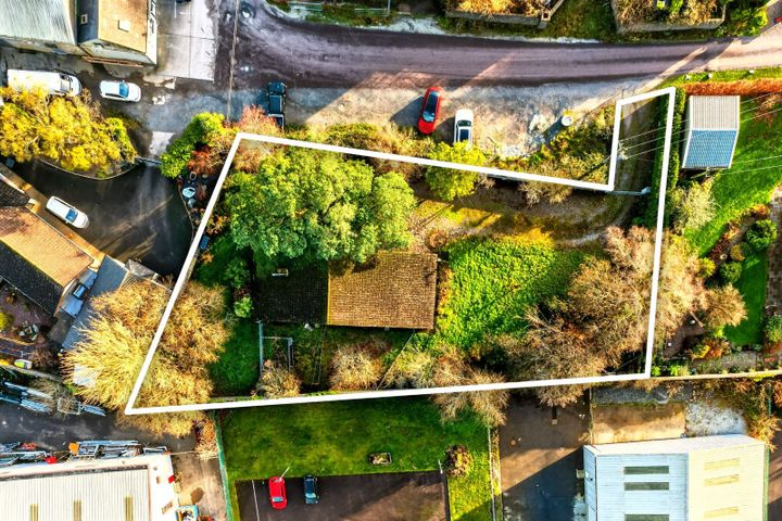 Snowdrop, Kilnagleary, Carrigaline, Co. Cork, P43VY04