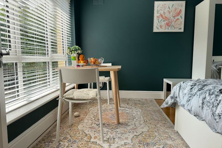 Ballintyre Woods, Dublin 16, Ballinteer, Dublin 16