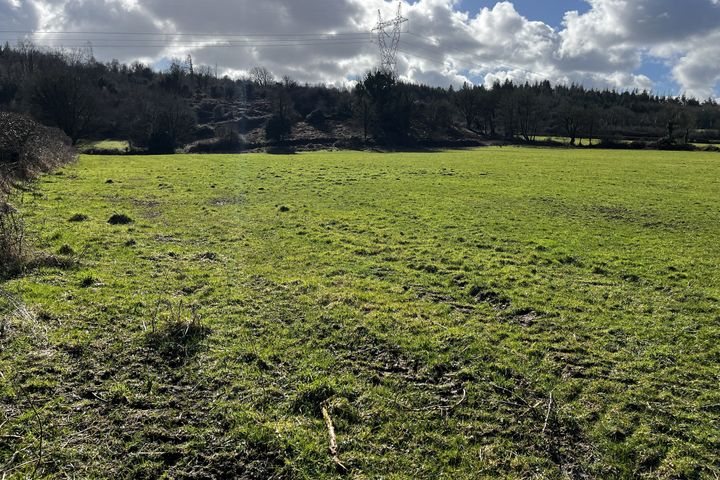 Ballygowan, Abbey, Loughrea, Co. Galway