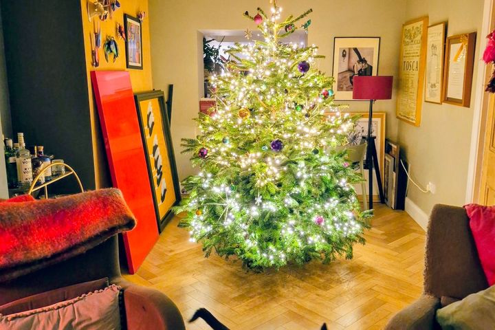 Hamilton Street, Dublin 8, South Circular Road, Dublin 8