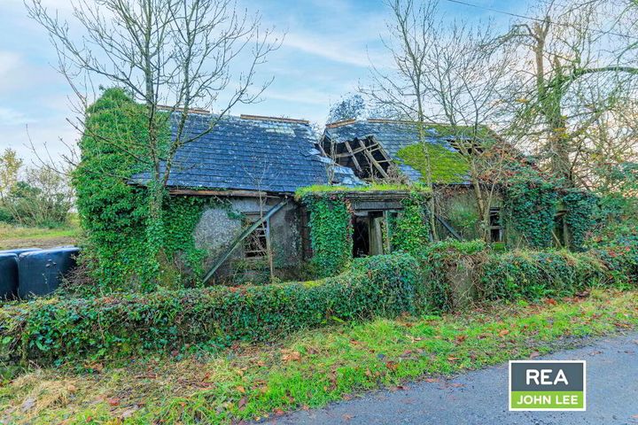 Kildromin, Kilteely, Co. Limerick