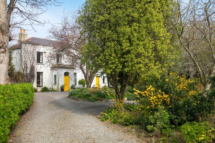 42 Bushy Park Rd, Rathgar, Dublin 6, Dublin 6, Dublin