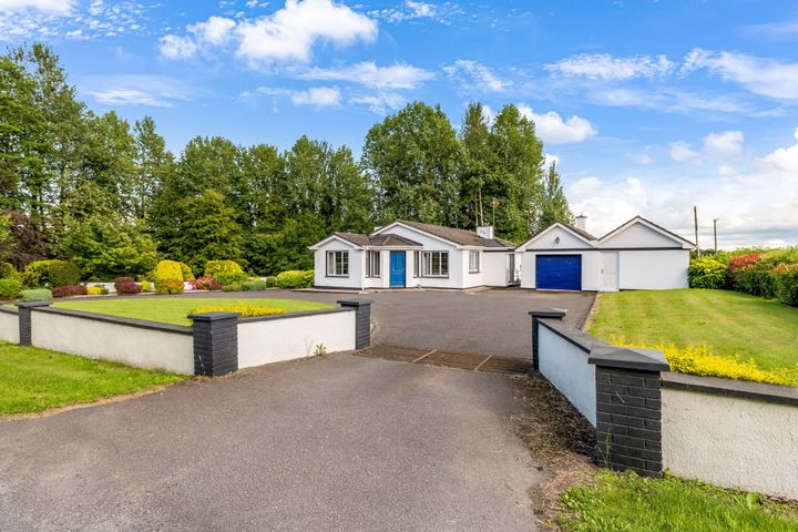 Newtownmoynagh, Trim, Co Meath, C15K253
