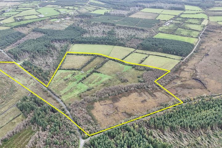 39.41 acres at Kilcoosh, Newbridge, Co. Galway