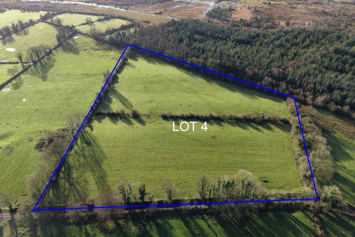 Lot 4 -  C. 8.57 Acres, Cloonca, Mount Talbot, Co. Roscommon