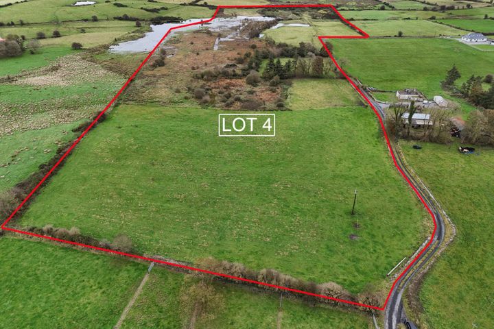 Lot 4 - C. 23.25 Acres, Shannagh More, Glenamaddy, Co. Galway