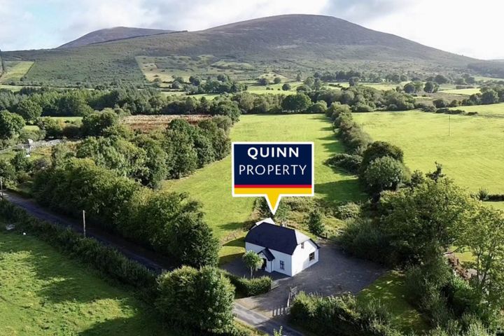 Graigue, Kiltegan, Co. Wicklow, W91F8P8