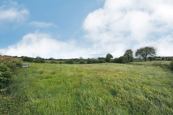 Site With F.P.P., Corlea, Ballybay, Co. Monaghan