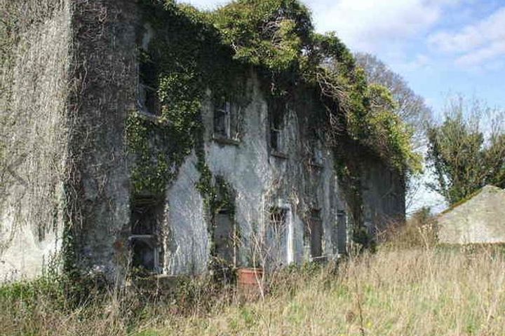 Newbridge House, Newbridge, Fardrum, Ballinahown, Co. Westmeath